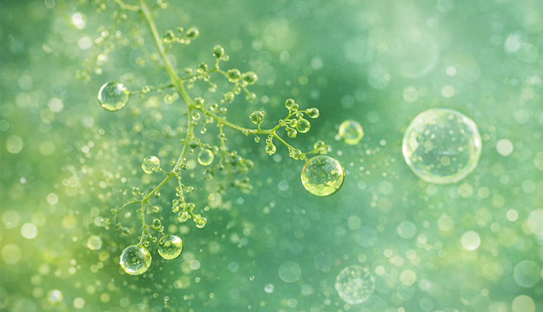 Making Chemicals and the Supply Chain Greener for Better Business