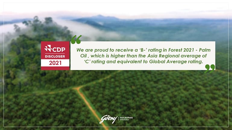 Forest 2021: Palm Oil