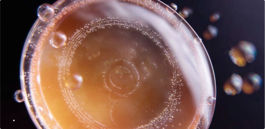 Preservatives & Antimicrobials