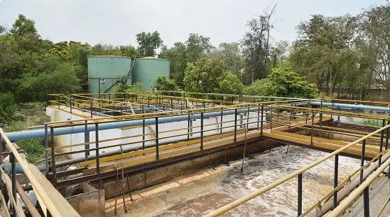 Thriving Communities